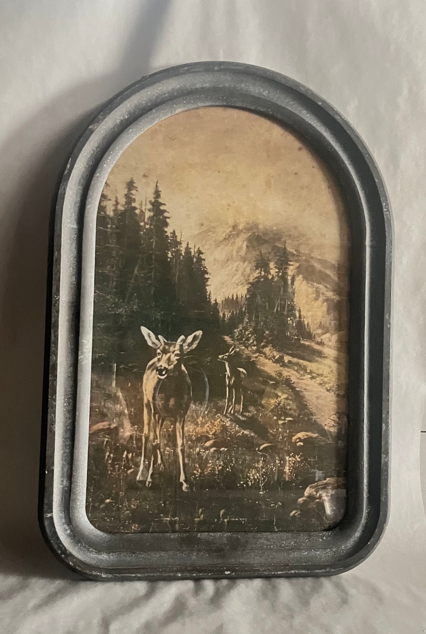 Framed Deer Photo